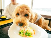 朝食会場はワンちゃん同伴OK！チェックインの際フロントにお問い合わせください