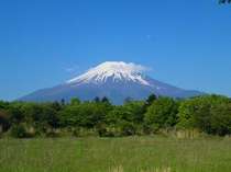 花の都からの富士山