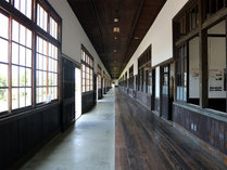 【宇和米博物館】この109mの木造廊下を競技場として100mの雑巾がけレースが楽しめます（500円～）
