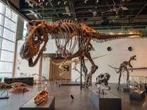 『長崎市恐竜博物館』で古代のロマンを体感しよう♪