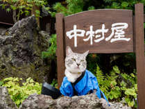 *ようこそ中村屋へ。5種の畳敷き貸切風呂と、若旦那・女将が振るうお食事もぜひご賞味下さい