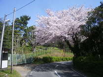 おすすめ宿泊情報