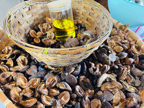 ・【椿油搾油体験】伝統的な製法で椿油を搾油