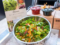 【Organic】健康を意識した野菜サラダ