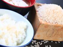 【ご飯】お客様にも大変美味しいと好評な自家製の木島米を使用しております