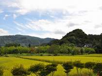 田んぼと山と青い空。ただそれだけで心がほっとする、そんな気分を味わいにきませんか。