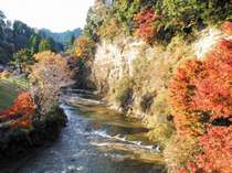 「懸崖境」針葉樹も適度に点在し、秋にはコントラスト鮮やかな紅葉が楽しめます。