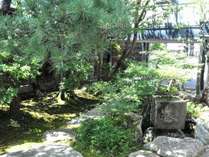 約120年前の日本庭園を眺めながらお食事をお楽しみください。