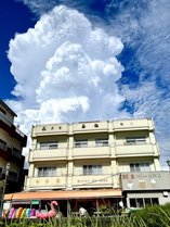 美浜です。入道雲が凄い時はシャッターチャンスです