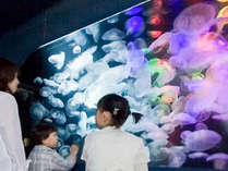 ■【加茂水族館】山形県唯一の水族館。クラゲの展示種類数で世界一を誇るクラゲ水族館です（お車6分）