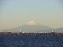東京湾を行き交う船と富士の裾野