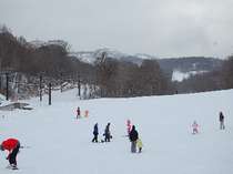 近辺にスキー場も沢山ありますよ