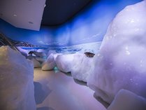 マイナス15度に保たれた流氷体験室