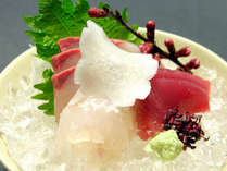日本海の旬の海幸の旨みをお刺身でお召し上がりいただきます！