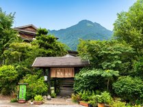 お宿　野蒜山荘（のびるさんそう） (大分県)