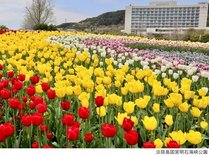 花祭2024春(イメージ)