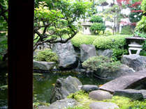 陽光がふりそそぎ色鮮やかな錦鯉の泳ぐ池に、青葉若葉の木々が緑影を落とす。心落ち着く日本庭園。
