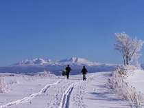 冬季限定・丘の上を歩くスキー・スノーシューツアー 写真