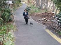 旅館オタマヤのペット犬「チーコ」広瀬川散歩