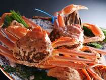 【津居山蟹】活きたままの蟹を新鮮な内に調理いたします。極上の味をご堪能ください。