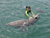 【ドルフィンセンター】イルカと一緒に遊泳