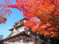 高島城の紅葉～諏訪の浮城や島崎城ともよばれています