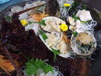 春の贅沢な活き造りアイナメ、伊勢海老、アワビ、ミル貝、白ミル、平貝の盛り合わせ　魚は変更有