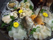 春の贅沢コース一例アイナメ、伊勢海老、アワビ、ミル貝、白ミル、平貝の盛り合わせ