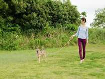 自然の中で、愛犬とお散歩♪
