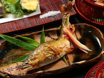 旬の川魚など季節ごとにその時美味しい食材をご案内しております*