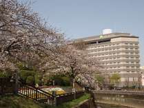 アークホテル熊本城前と桜＜ホテル近隣にはたくさんの桜の木が！＞