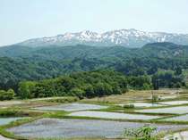 ◆長岡市栃尾◆　栃尾で採れるお米は絶品。