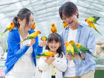 【掛川花鳥園】つま恋から車で約10分、1年中花の中で鳥と遊べるテーマパーク