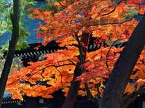 【南禅寺】色とりどりの京都の秋★紅葉散策にもおすすめ