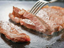 【3/1～6/30】【ライブ】サーロインステーキ※イメージ※ステーキは調味牛脂を注入した加工肉です。