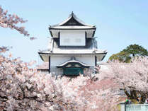 桜の舞う春の【金沢城】