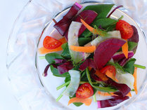 色鮮やかなお野菜を使用したサラダをメイン料理と共に。