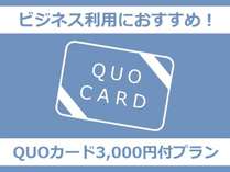 QUOカード3,000円付プラン