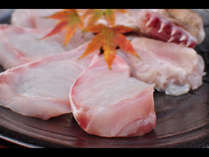 クエ　今では幻の魚と呼ばれ、天然物はその希少性から関東関西の料亭に出荷されている高級魚です。