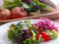 地元野菜たっぷりのサラダは自分で自由に作れる楽しい＆ヘルシーメニュー≪朝食バイキングイメージ≫