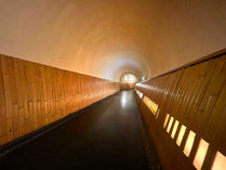 道路の下を通る『地下トンネル』