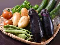 *自家製野菜/丹精込めて作られたお野菜は新鮮なうちに調理。野菜そのものの旨みが凝縮されています。
