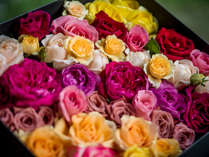 記念日オプション例【花束・フラワーボックス】サプライズやお祝いにお花のプレゼントはいかがでしょうか