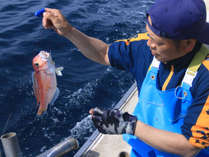 伝統ある延縄漁で獲る高級魚【グジ】を堪能して下さい！！ 写真