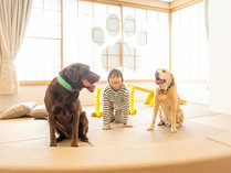 【411（127平米）】2024年3月に当館で一番広い愛犬と寛ぐ新たなお部屋が誕生！