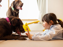 【411（127平米）】2024年3月に当館で一番広い愛犬と寛ぐ新たなお部屋が誕生！