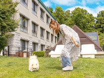 晴れた日は屋外ガーデンドックラン