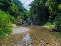 *国頭村は沖縄の原始の自然がいっぱい！周辺には美しい色の伊江川が流れています。