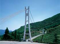 上野スカイブリッジ。長さ225ｍ、高さ90ｍの壮大なスケールの吊り橋。