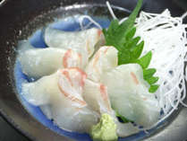 新鮮な刺し身でビジネスで来ても敦賀のお魚を味わっていって下さい＾＾